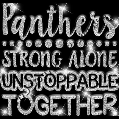 GLT87 SILVER GLITTER Thumbnail